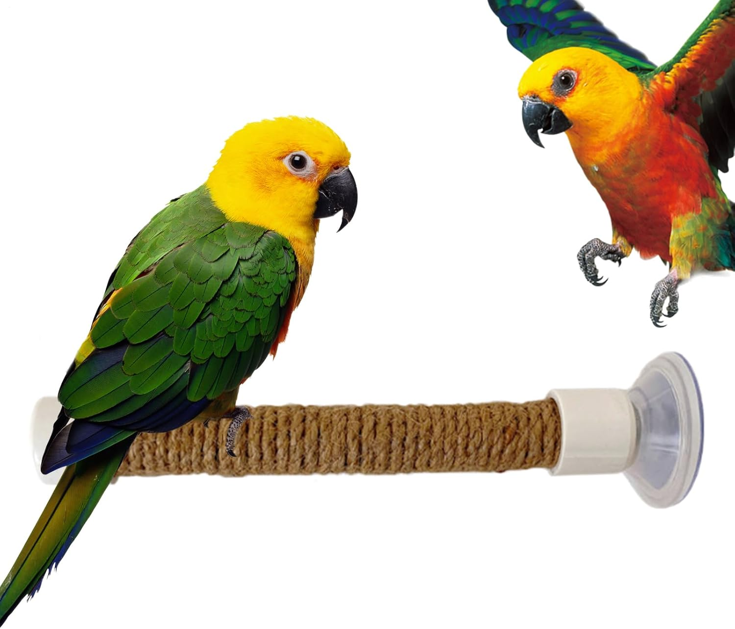 Parrot Shower Perch | Parakeet Training Stand - Suction Cup Portable Perch Cage Accessories for Bird Macaw Parakeet for Window Car Bath Training Uses image number 3