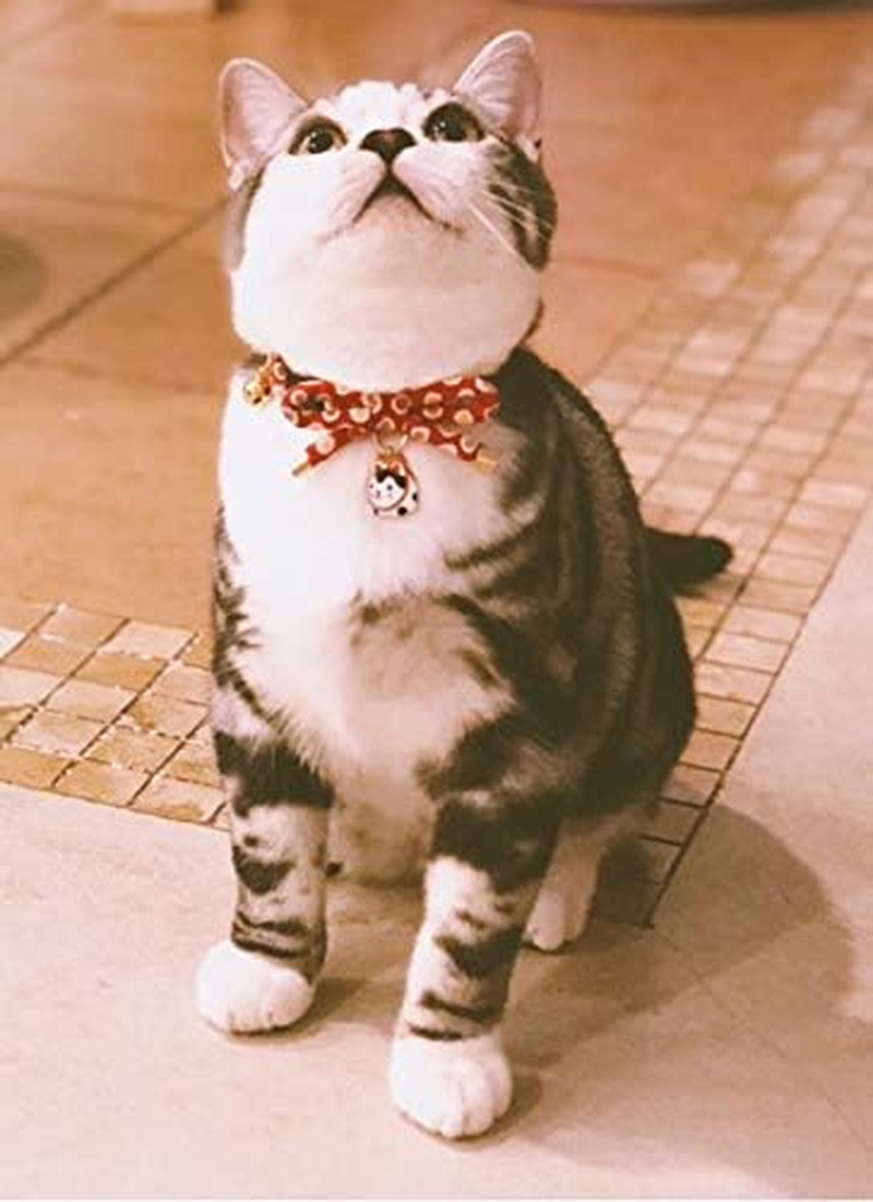 Petsokoo Cute Bowknot Cat Collar with Bell. Japan Colorful Polka Dots Pattern. Lucky Cat Charm. Safety Breakaway, Soft, for Girl Boy Male Female Adult Cats,Red image number 3