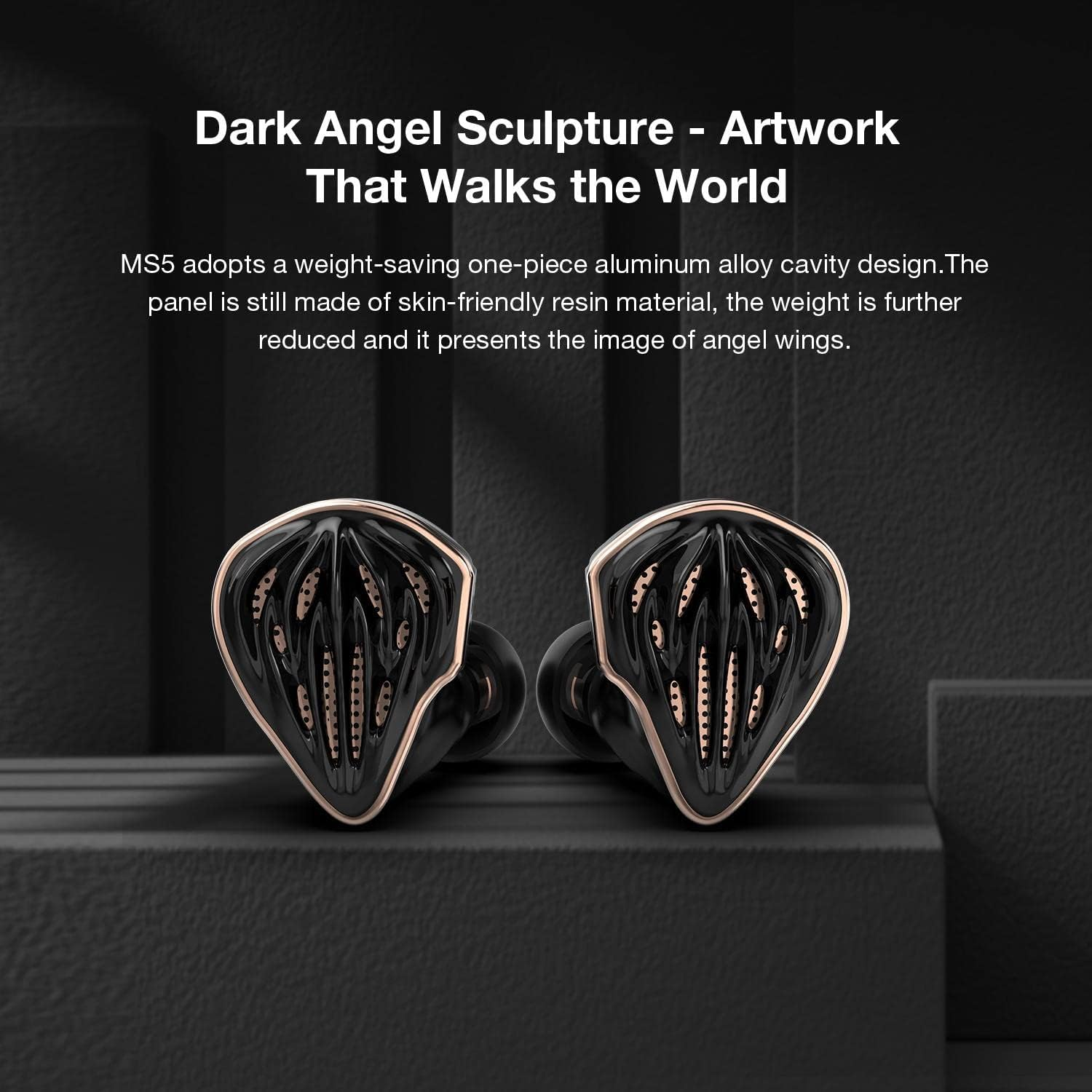 Hidizs MS5 4BA+1DD Hybrid 5 Units Hifi In-Ear Monitors Earphone, Noise Lsolation Personalized Spatial Audio, Hybrid Banlance Armature Headphones for Smartphones Computer (Black) image number 2