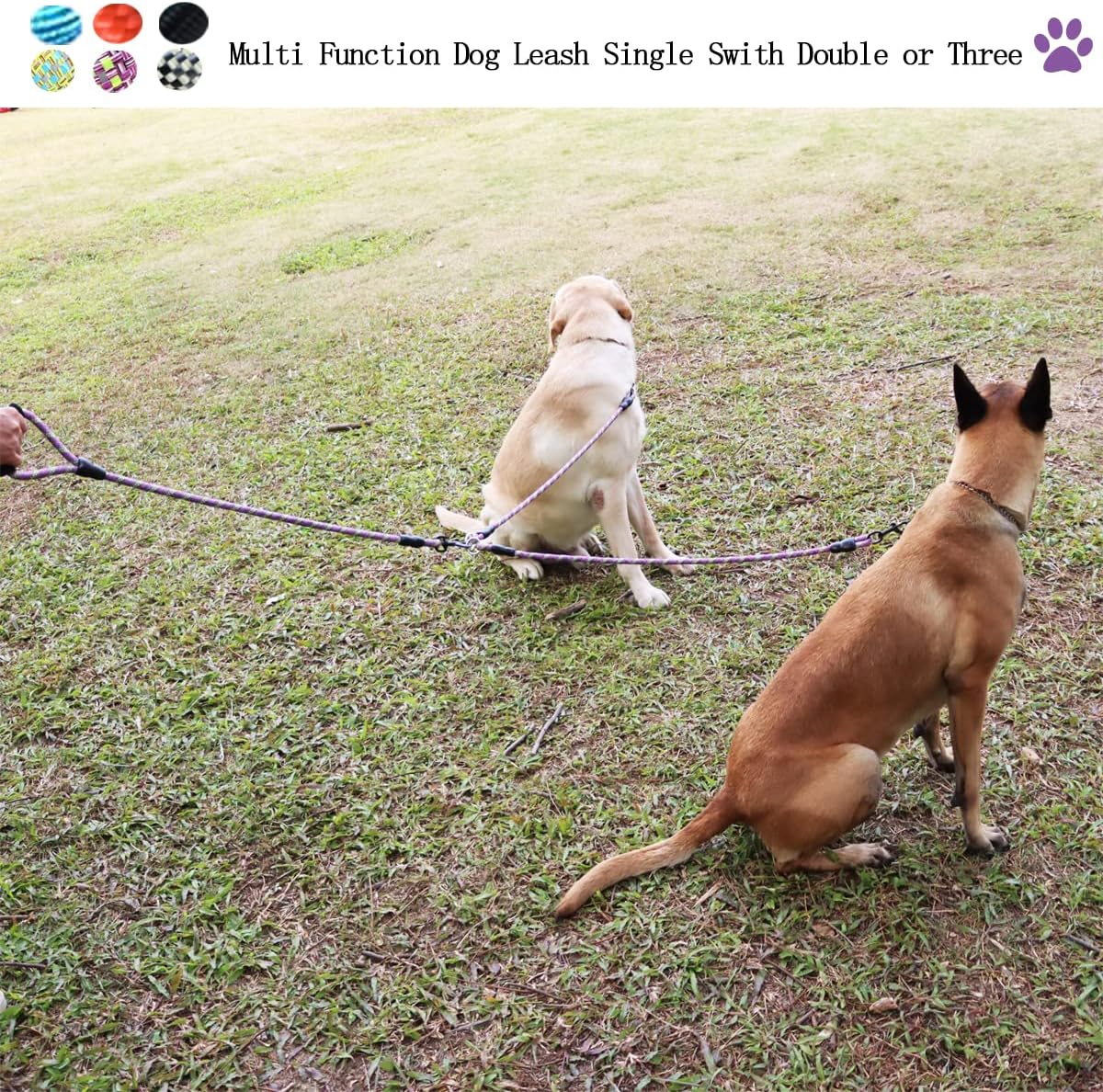 Heyllou 3 Dog Leash - Padded Handle, 360&deg; Swivel Multiple Dog Leash No Tangle, Lead for Medium Large Dogs, Walking & Training Double Dogs (Purple Green) image number 4