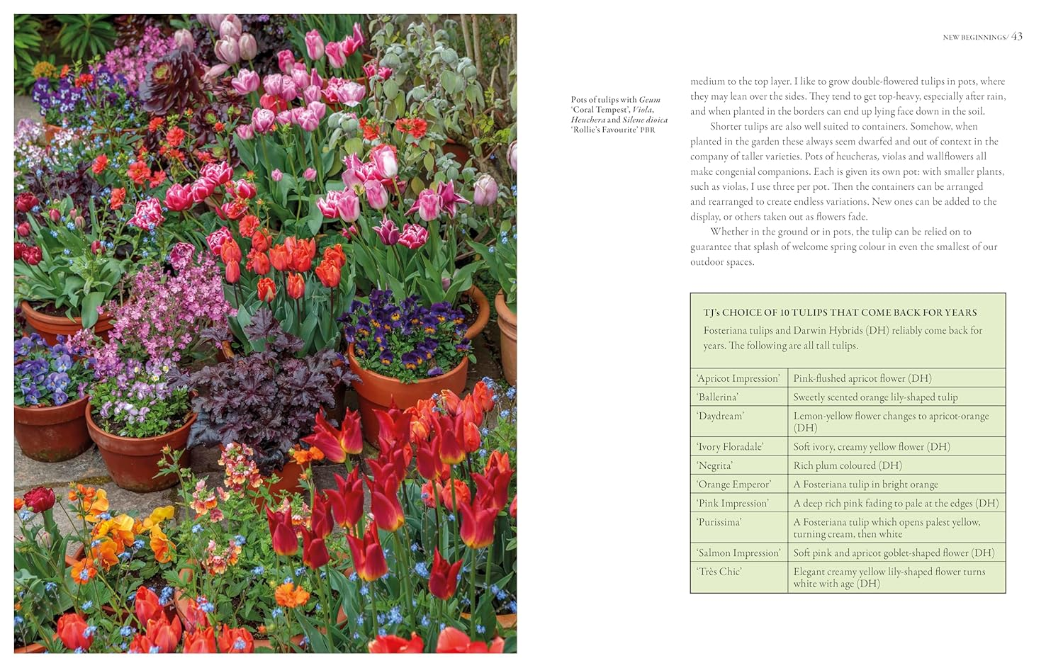 Grounded in the Garden: an Artist'S Guide to Creating a Beautiful Garden in Harmony with Nature image number 3
