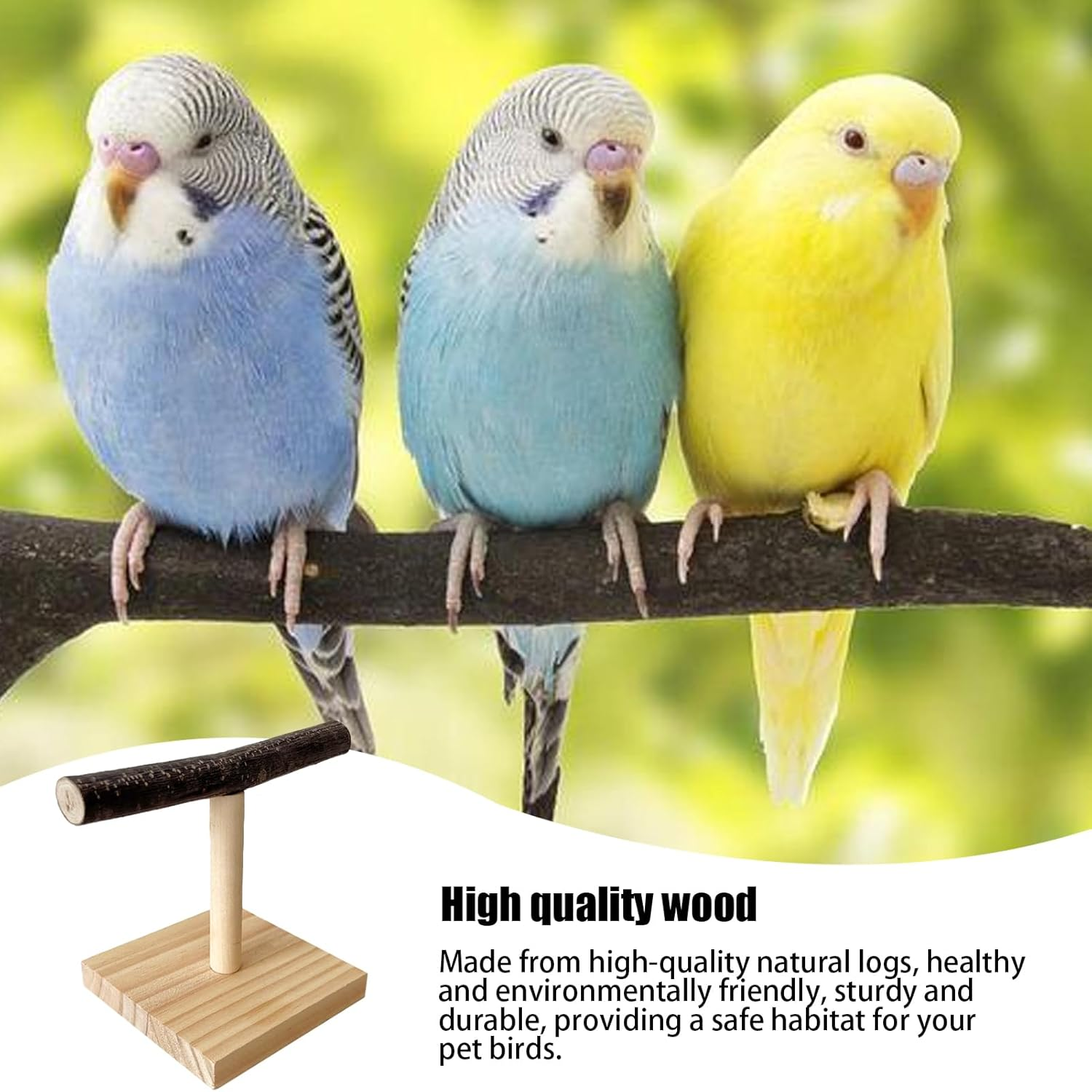Parrot T Perch - Resting Spot Portable Bird Trainiing Playground | Feeding Training Wooden Parroot Staand | Birrd Play Stand for Macaws Cockatiels African Greys image number 4