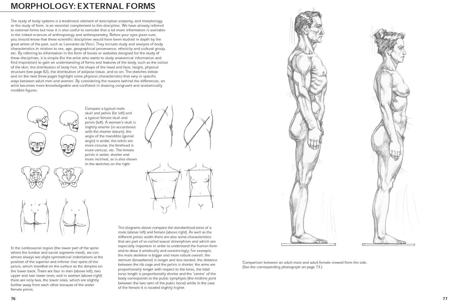 Figure Drawing: a Complete Guide image number 3