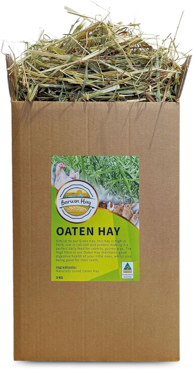 Oaten Hay 3 KG Box - Natural Rabbit & Guinea Pig Food - Freshly Packed on Farm image number 2