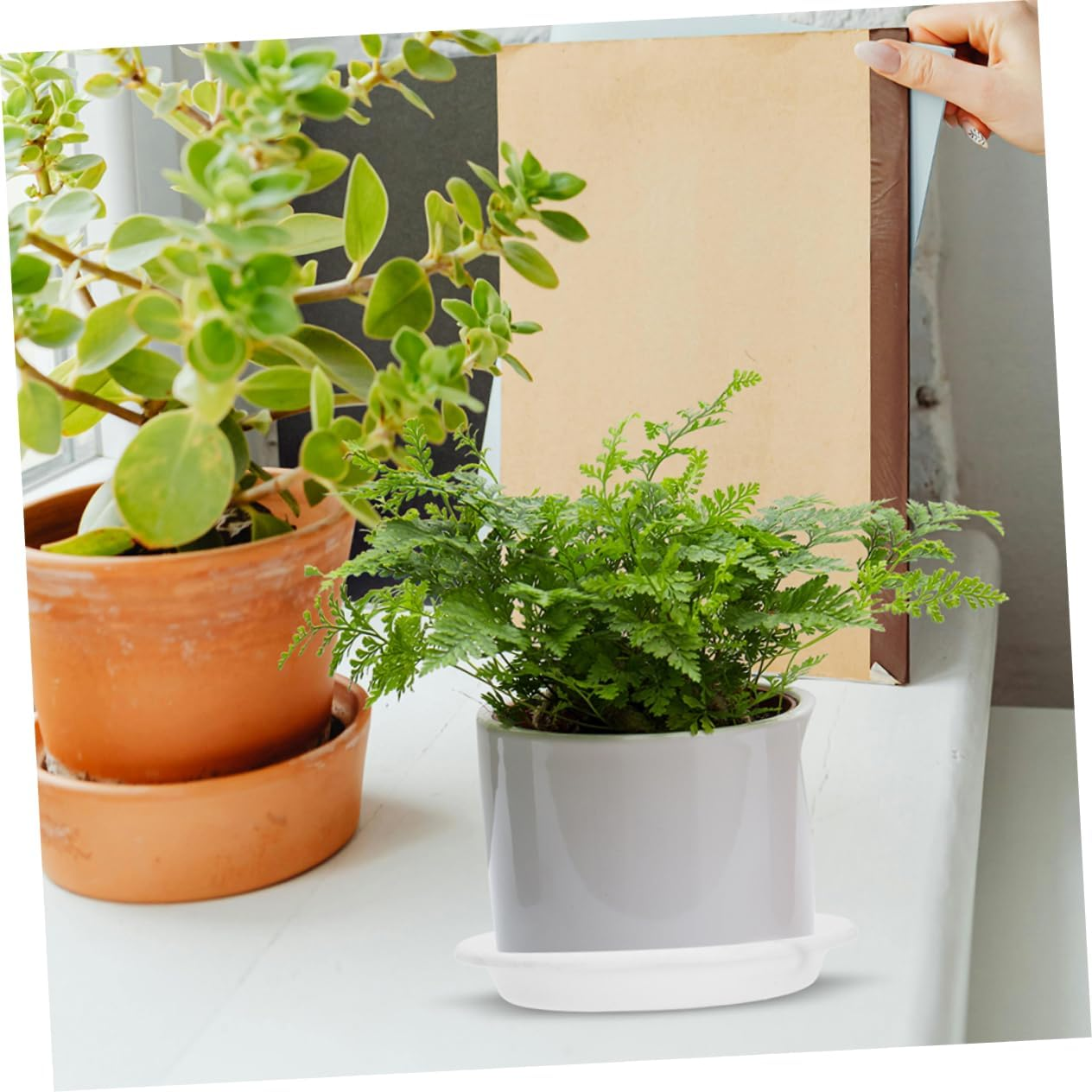 PAMINGONO 10Pcs round Plastic Pot Tray for Indoor and Outdoor Plants Thickened Drainage Saucer for Water Catching and Plant Maintenance Versatile and Sturdy Gardening Tray