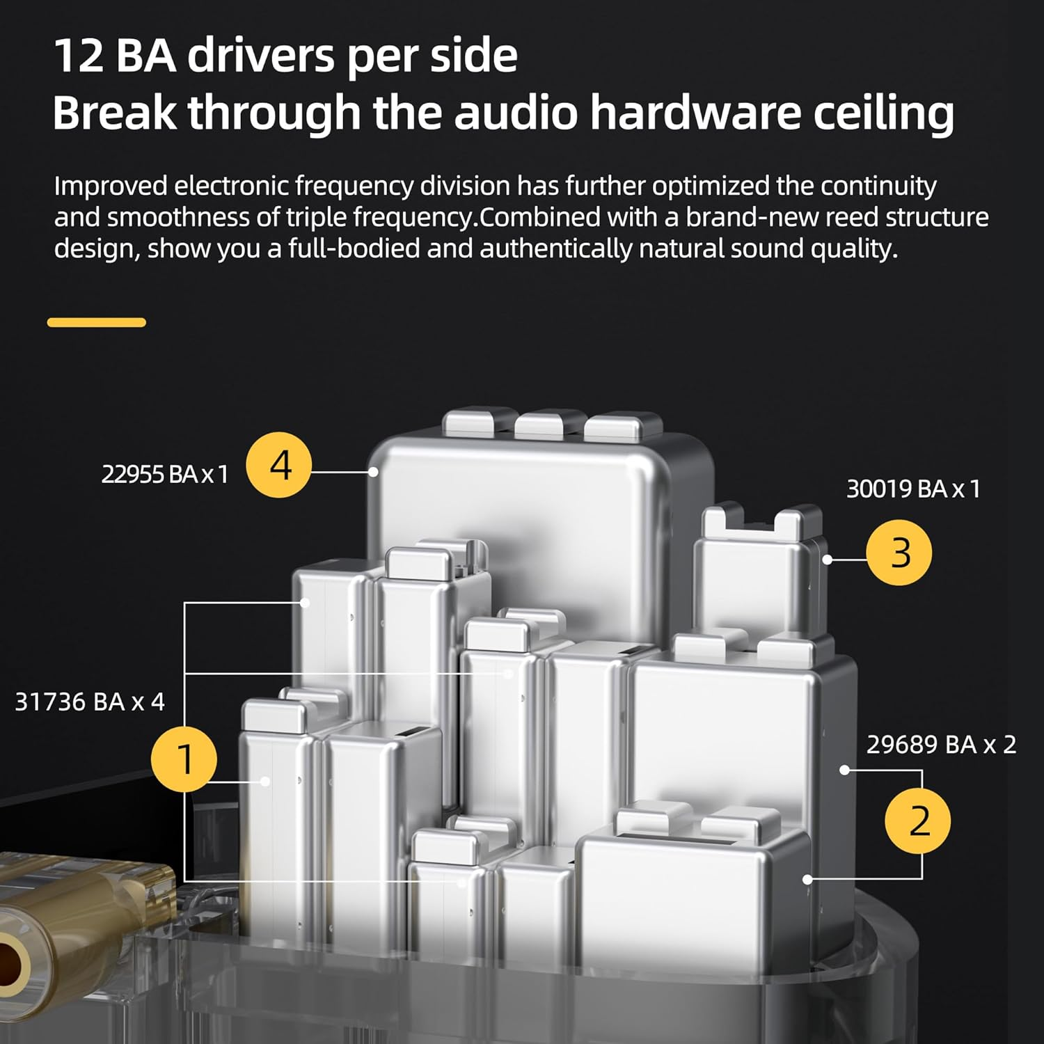 EZEAR KZ AS24 in Ear Headphone,12 BA Units on Each Side Wired Earphone, KZ Monitor Hifi IEM Earbuds Earphone,Musicians IEM Upgrade Deep Bass Suitable for Bass Vocals Pop Folk ACG (Silver, without Mic) image number 3