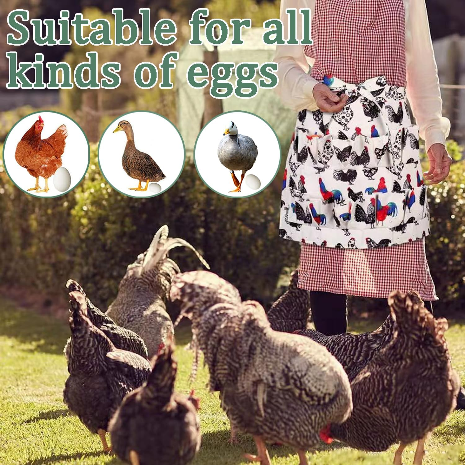 Egg Apron for Collecting Eggs Durable Canvas Chicken, Duck & Goose Egg Collection Apron for Home Use Ideal for Farmhouse Kitchens, Restaurant Settings, and Family Activities image number 3