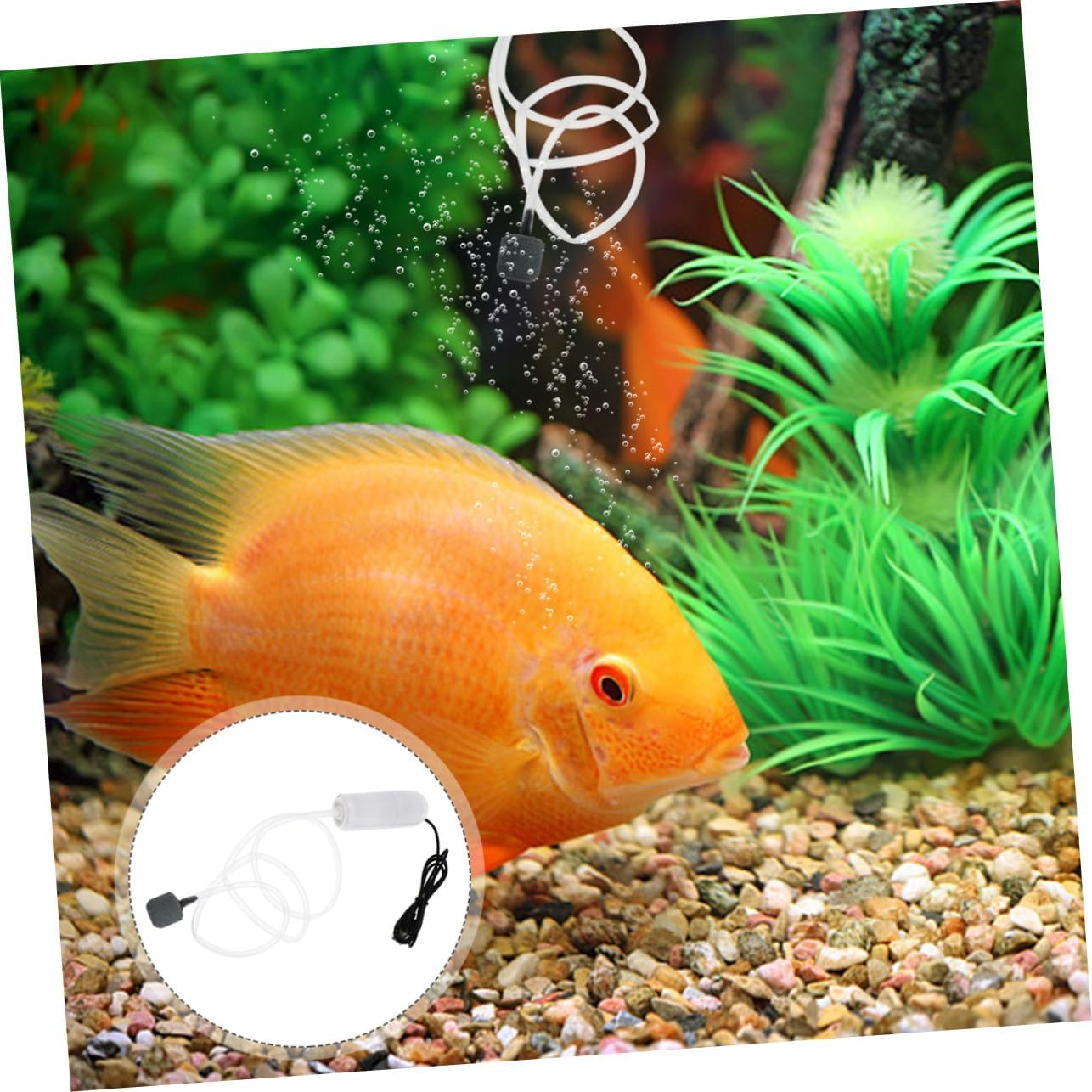 Portable USB Oxygen Pump for Aquarium Fish Tanks Small Lightweight Rechargeable Air Aerator with Low Power Consumption for Indoor Aquatic Oxygen Increase and Energy Saving image number 4