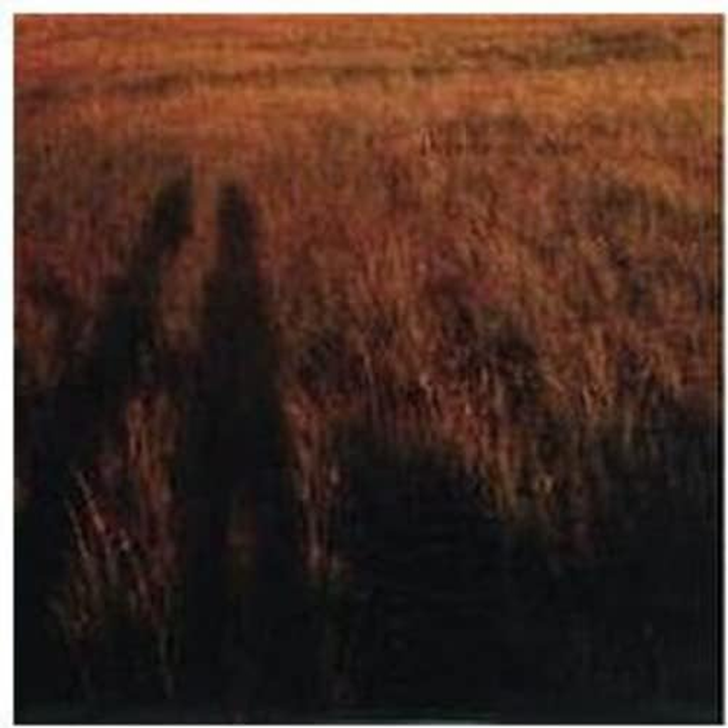 Blame It on Adam 12" EP (LP)