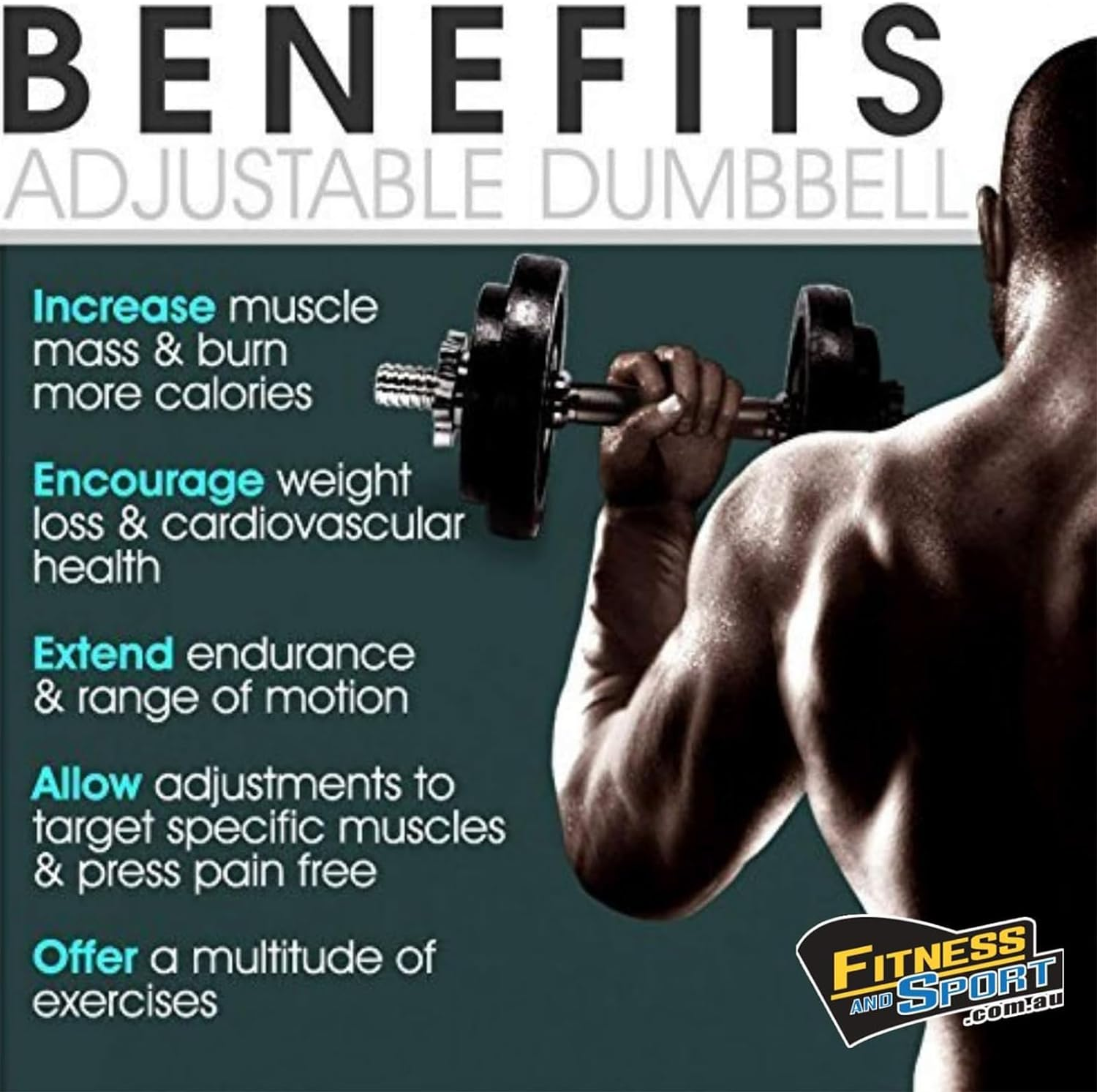 HCE Adjustable Dumbbells Set,20Kg - 50Kg Standard Steel Bars Pair with Cast-Iron Hammertone Weight Plates Set Home Gym Equipment for Body Building Weightlifting image number 2