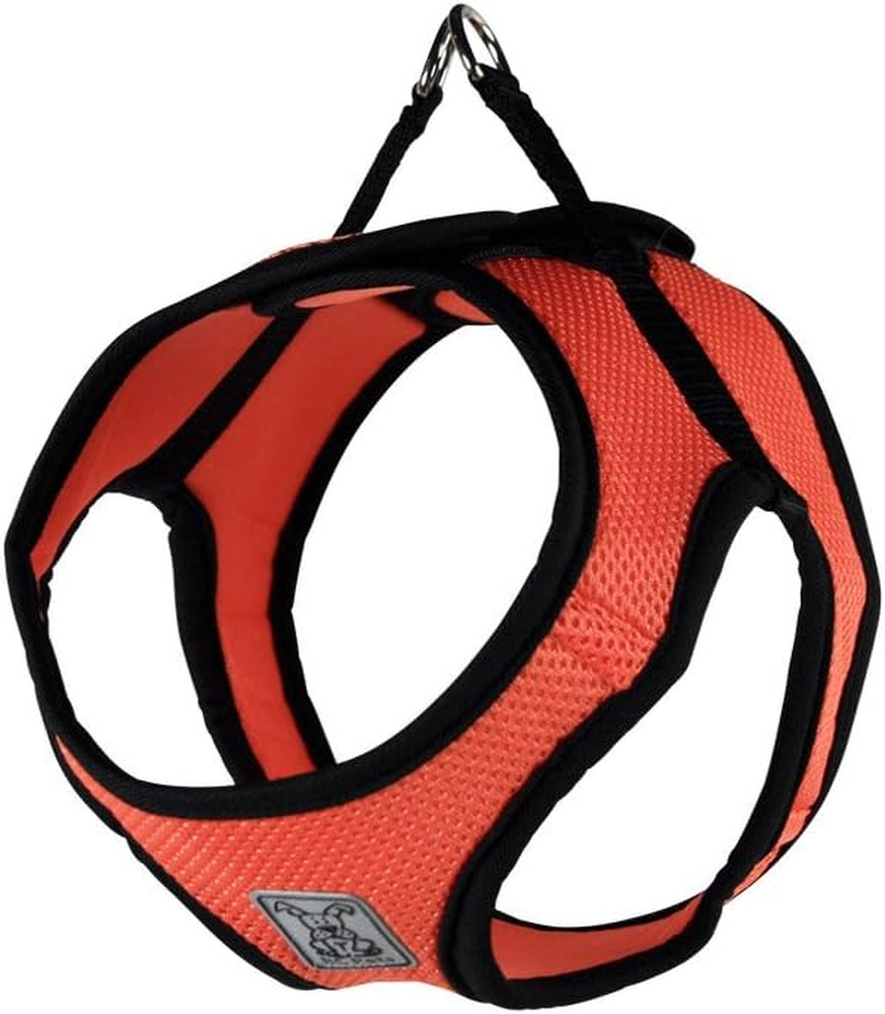 RC Pet Products Cirque Soft Walking Step-In Dog Harness, Small, Tan Tartan