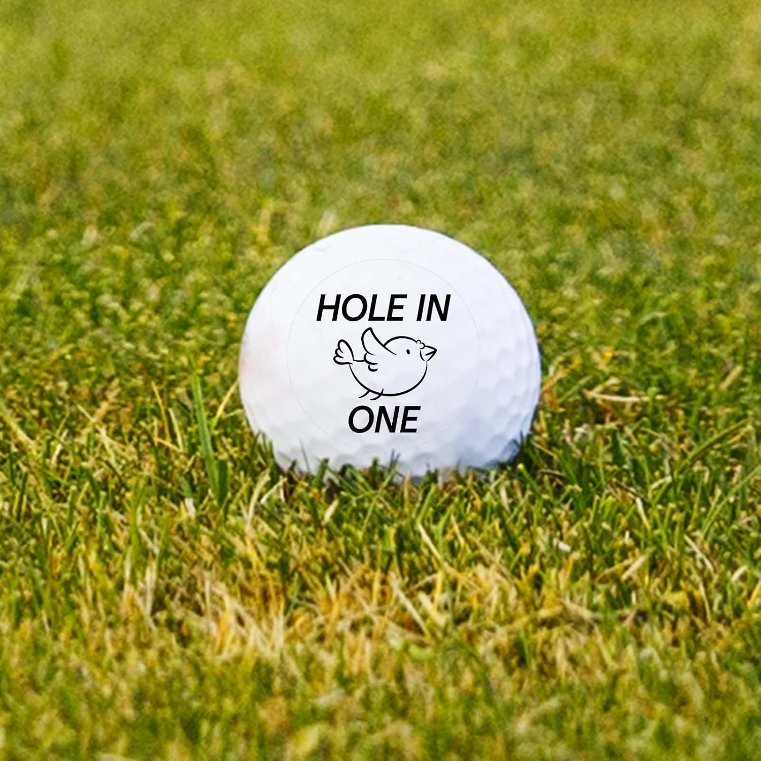 BOXOB 32Pcs Hole in One Golf Ball Stamper, Personalized Golf Ball Stamp Stickers Hole in One Markers for Personalized Marking image number 6