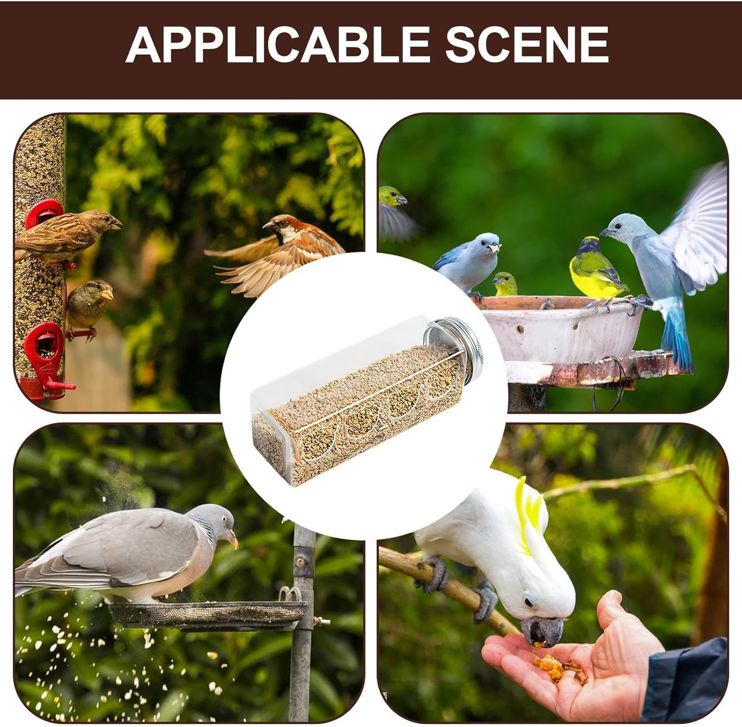 Maciun Quail Feeder - 4 Ports No Mess Chicken Feeder for Brooder - Portable Bottle Shaped Birdfeeders, Cage Accessories for Quail Parrots Budgies Basilisks Finches image number 6