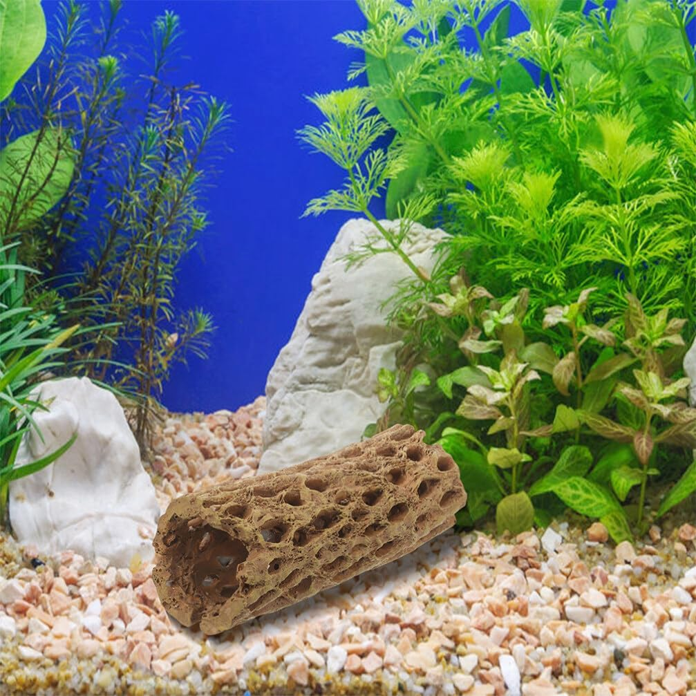 Milisten 2Pcs Natural Cholla Wood Logs for Shrimp Habitat Food Treat Hermit Crabs Plecos Aquarium Decoration Lowers Ph Hideouts Chew Toys Reptiles Thorn Dried Organic image number 2