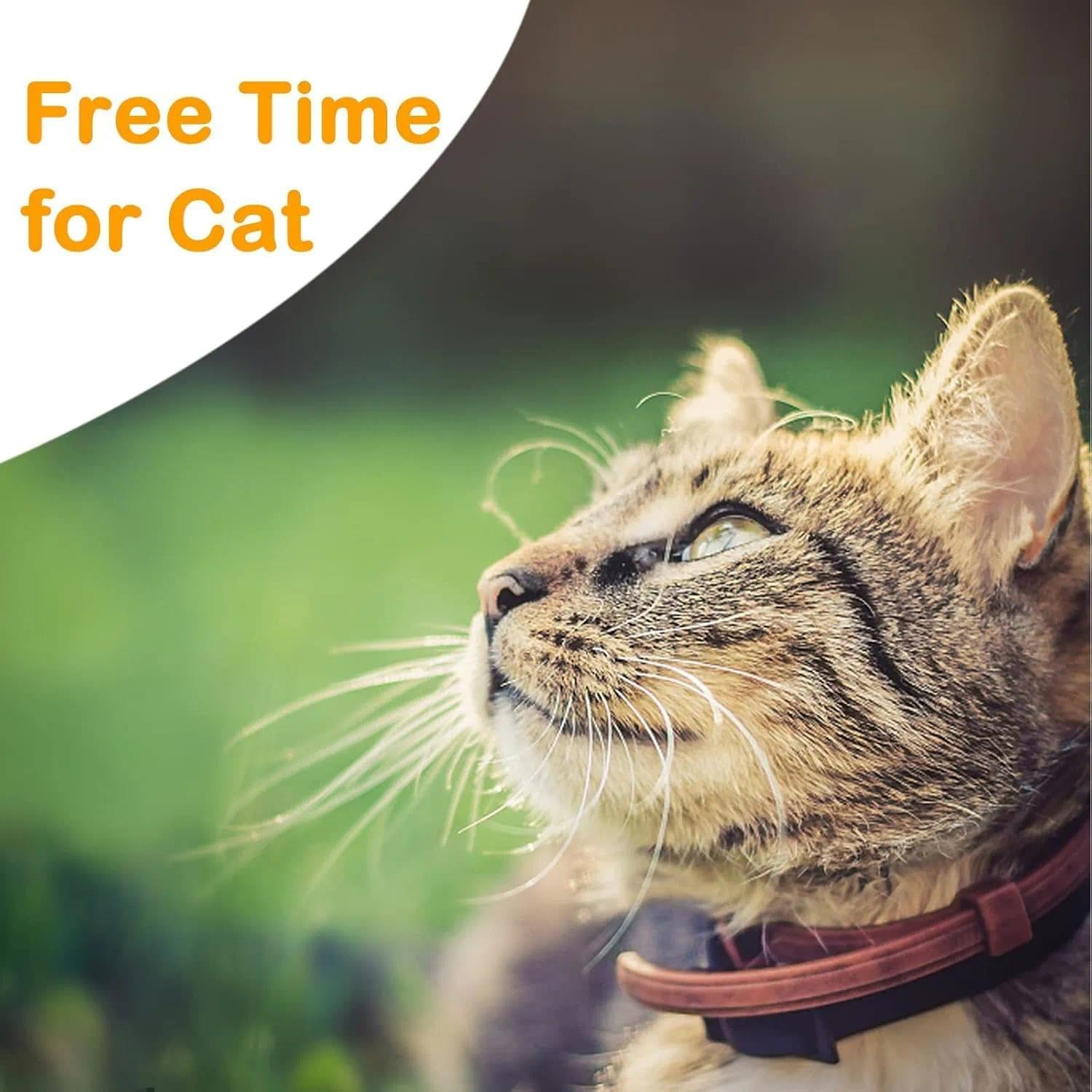 Long Cat Lead 9M/30FT Outdoor Lightweight Nylon Reflective Leash, Adjustable Training Lead for Cats, Kittens, Puppies and Small Pets &ndash; Haheihei image number 3