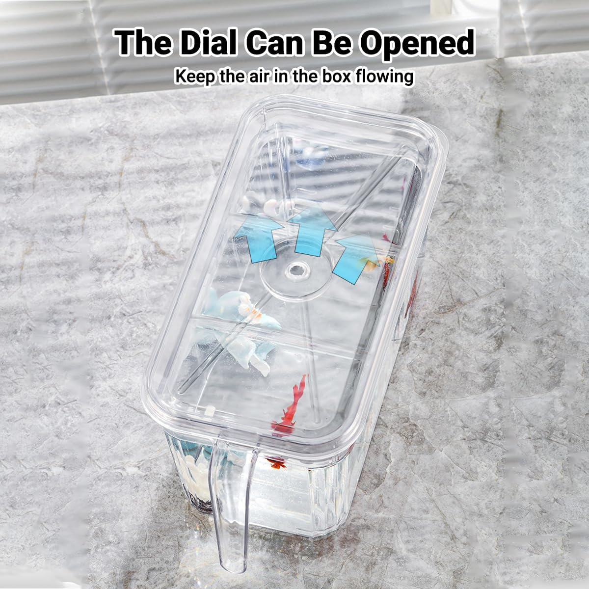 AIMALL Desktop Fish Tank, 9.25 X 5.51 X 5.51 Inch Transparent Mini Aquarium with Lid, Three-Division Design for Betta or Goldfish, Living Room and Office Use image number 6