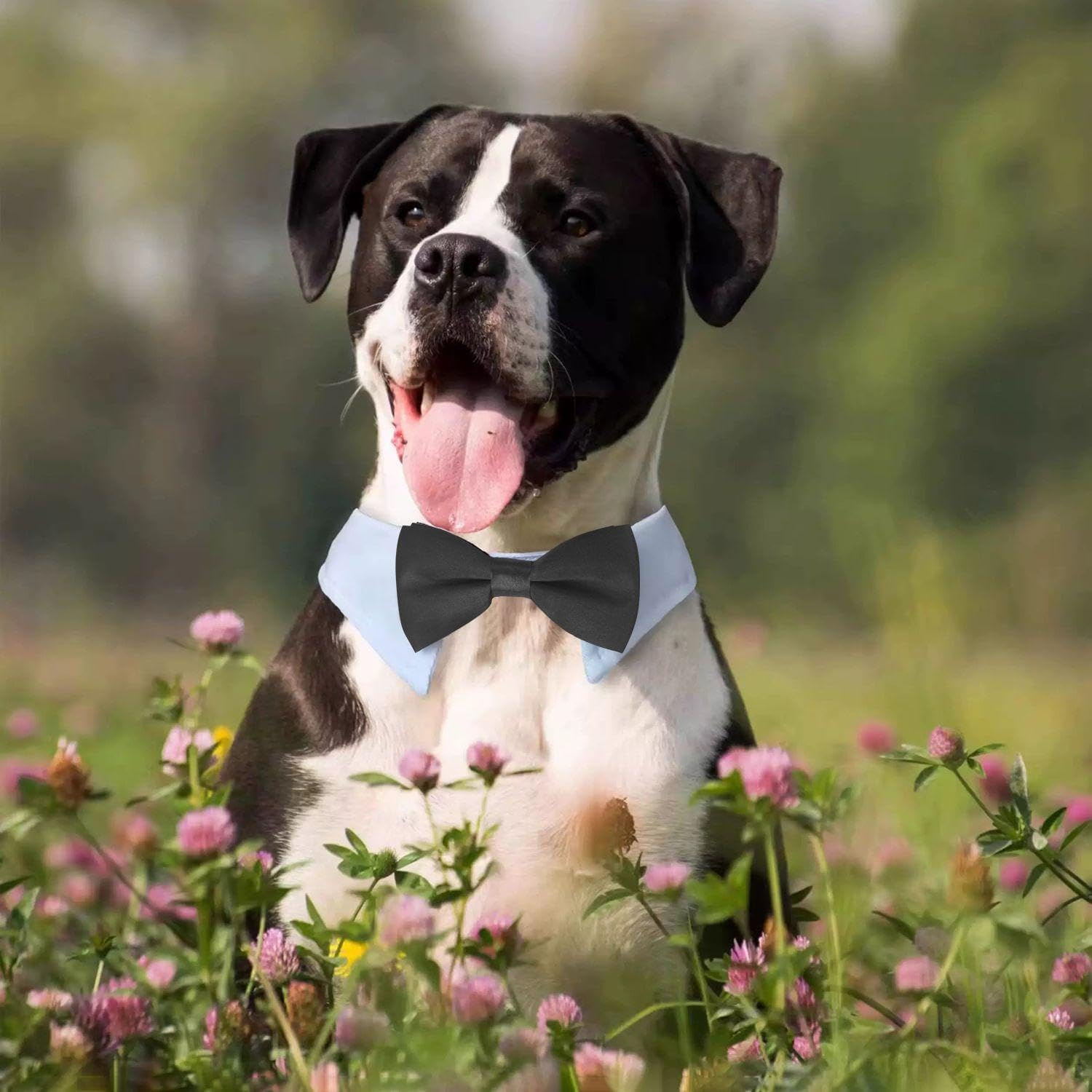 RELKLYU Pack of 2 Dog Dress Bow Tie, Pet Accessories, Creative and Funny Bow Tie, Adjustable Bow Tie, Animal Fancy Dress Supplies image number 3