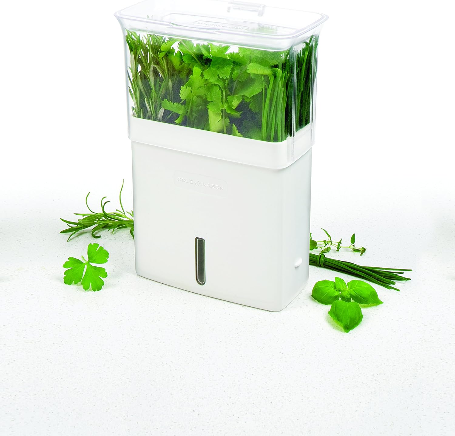 Cole & Mason 31401 Herb Keeper, White image number 6
