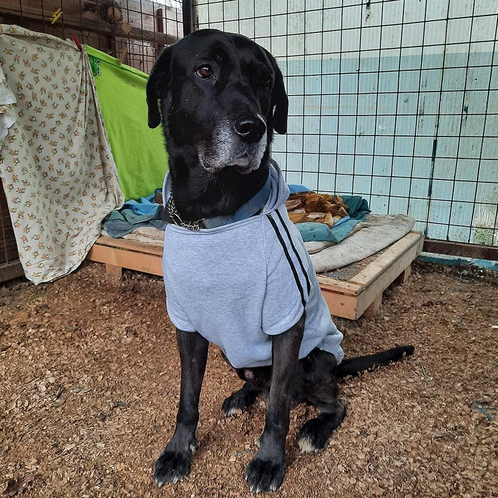 EASTLION Large Dog Warm Hoodies Coat Clothes Sweater Pet Puppy T Shirt,Grey 3XL image number 4