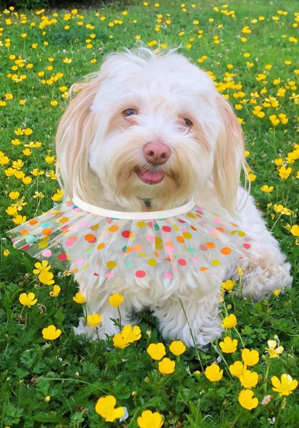 Jovono Cute Dog Cat Bandana Princess Costume Lace Colorful Triangle Bibs Accessories for Small Medium Cats image number 5