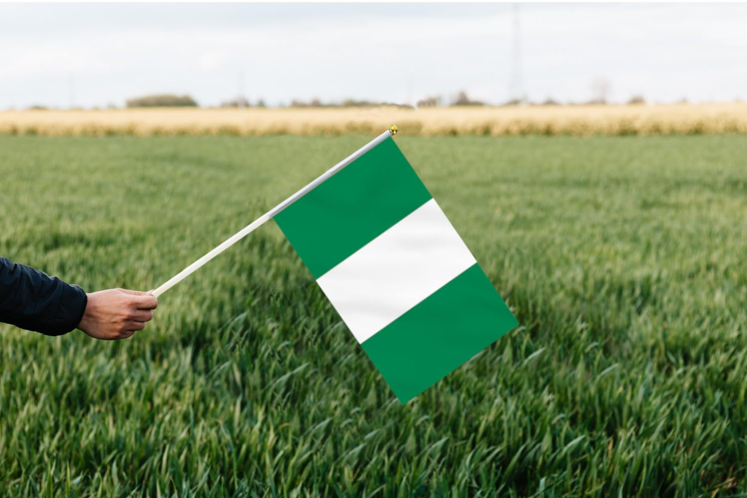 10 PCS Handheld Nigeria Flag,8.5&times;5.5 Inch Hand Held Mini Nigerian Flags Banner for Indoor Outdoor Parade Waving the Tlag and Shouting image number 2