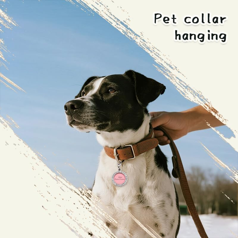 Cat Dog ID Tag Keychain for Pet Prevent Getting Lost Name Tag for Pet Keychain Key Chain for Friend Girlfriend Pets Lover Christmas Birthday Gifts for Dogs Cats Pets Coller Accessory with Photo Frame image number 6