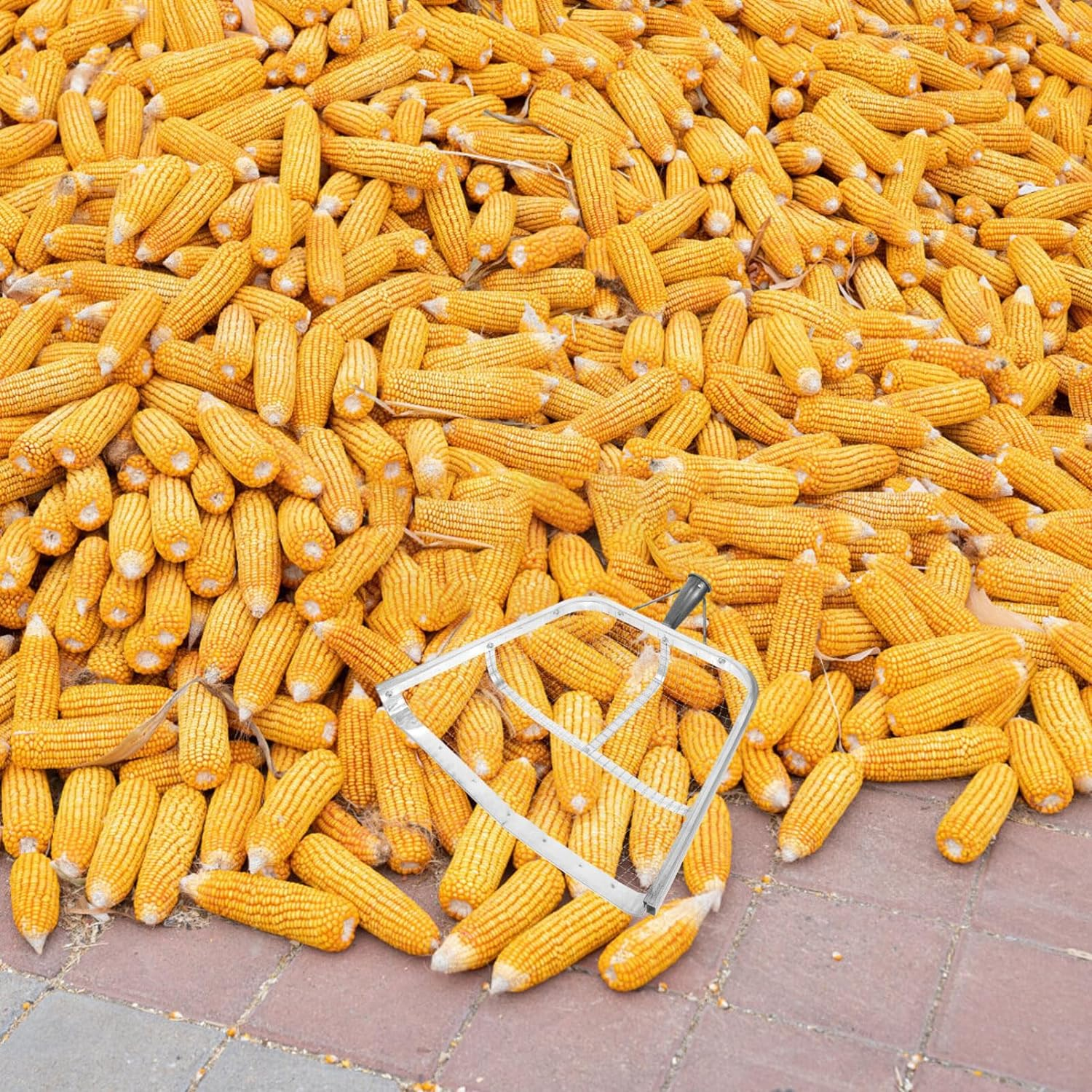 POPETPOP Harvest Sieve Maize Grain Shovel,Metal Corn Scoop Drain Spade Shovel Sifting Garden Outdoor Maize Spade Forks Garden Digging Supply image number 1