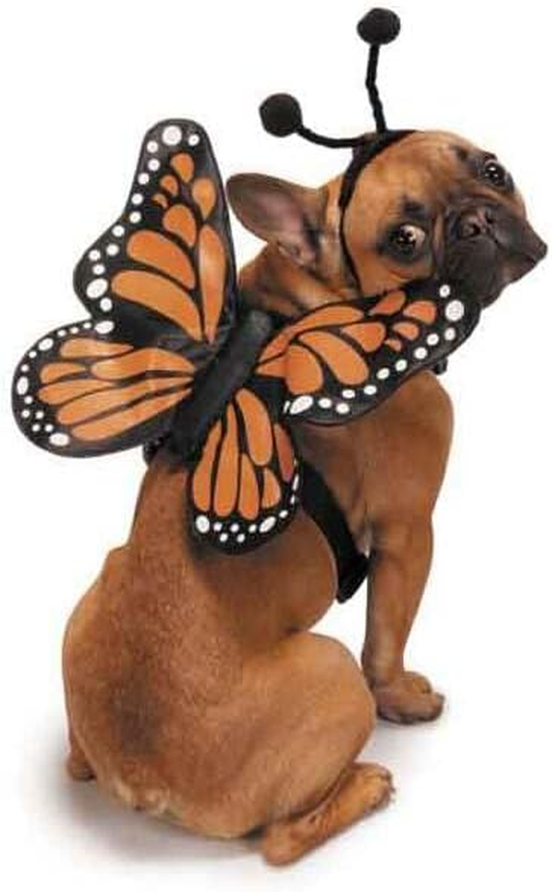 Zack & Zoey Butterfly Glow Harness Costume for Dogs, Small