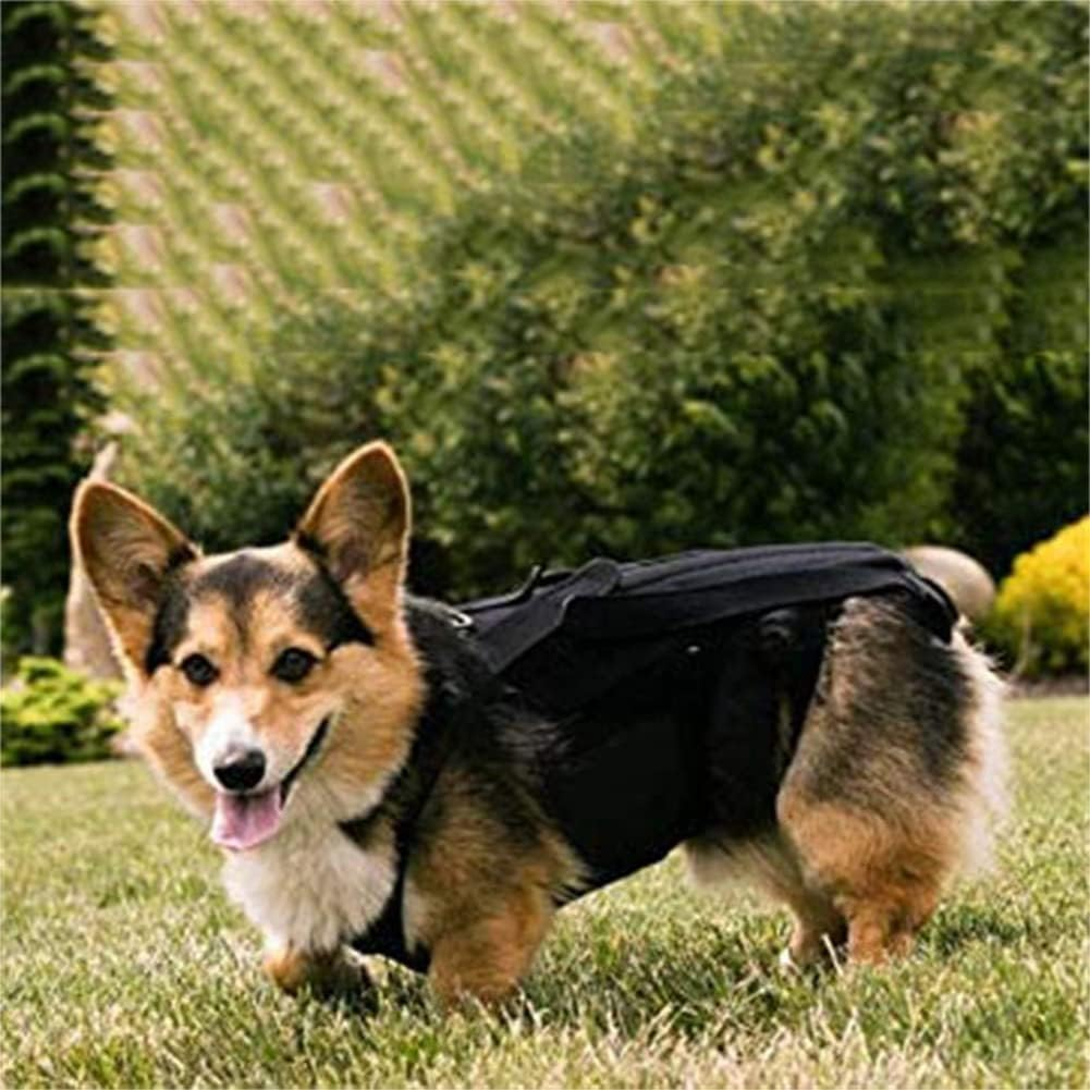 Dog Back Brace for IVDD, Back Brace Comfortable Full Body Harness Dog Clothing Dog Back Protector -L image number 3