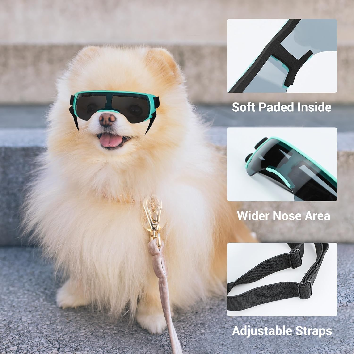 PETLESO Glasses for Small Dogs Eye Protection Glasses Wind Protection Glasses for Small Dogs UV Protection Dog Sunglasses for Motorcycle/Dog Bicycle Basket/Convertible image number 2