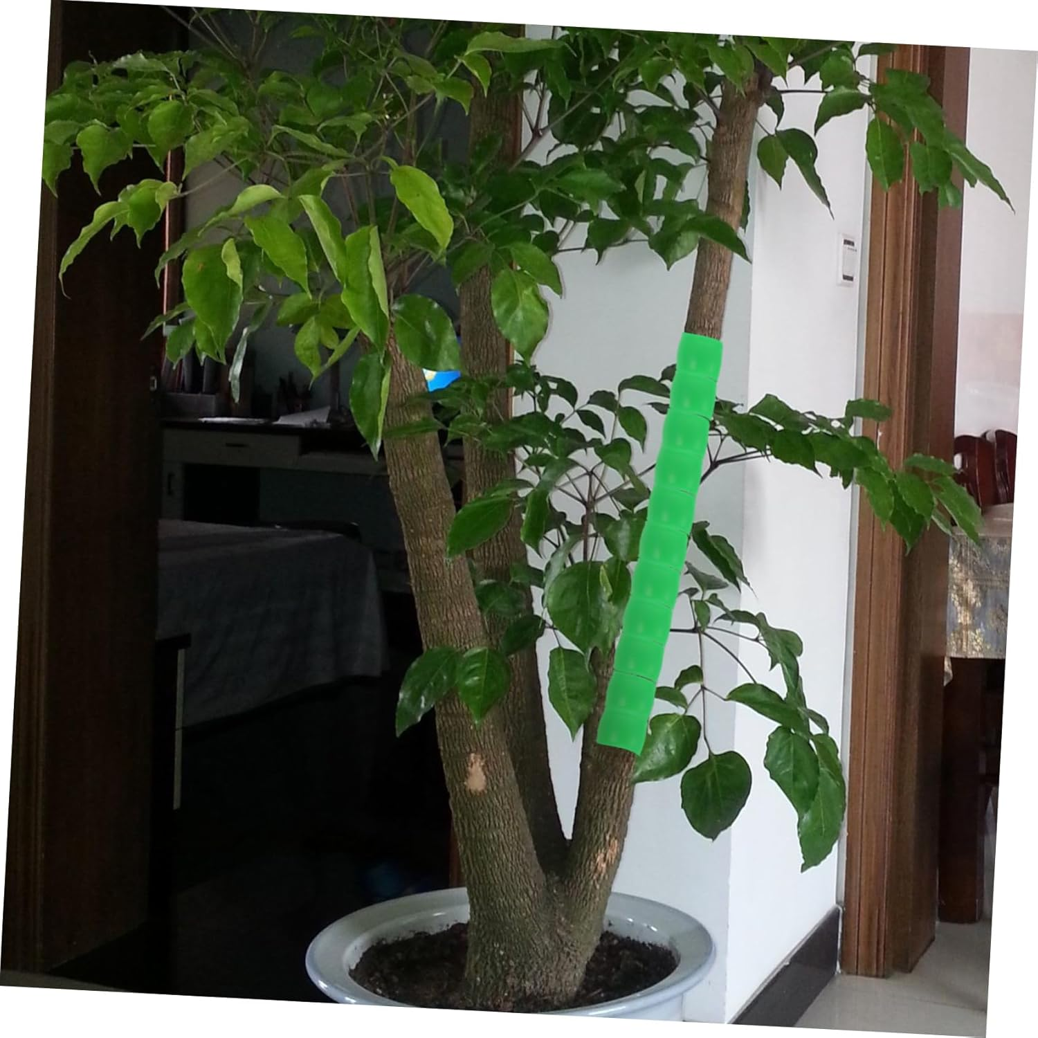 2Pcs Tree Trunk Guards Plant Protectors for Saplings Fruit Trees Bark Protection image number 5