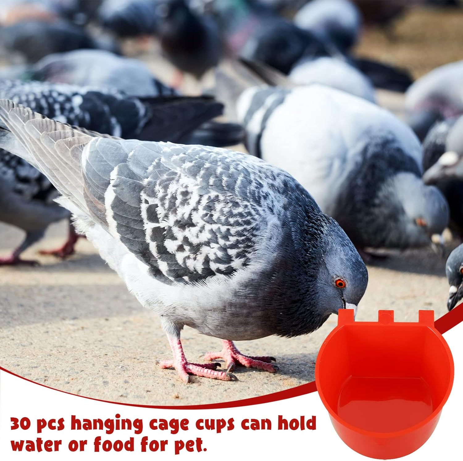 30 Pcs Cage Cups Birds Feeders Bird Water Dispenser Hanging Quail Waterer Plastic Chicken Feeding Watering Dish for Small Coop Parrot Parakeet PET Poultry Pigeon Gamefowl Food Seed Bowl Supplies, Red image number 3