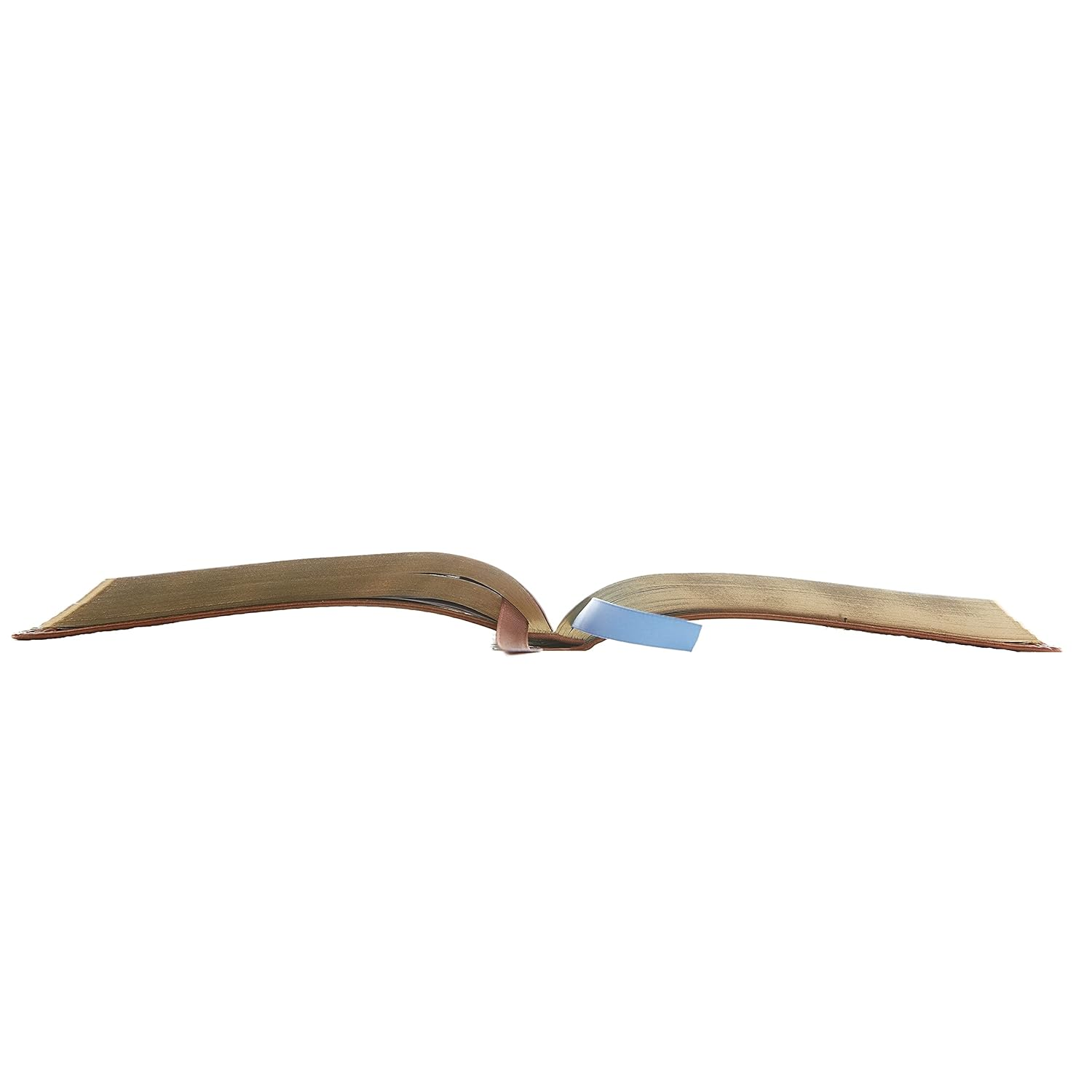 KJV Thinline Bible Youth Red Letter Edition [Brown]: Holy Bible, King James Version image number 2