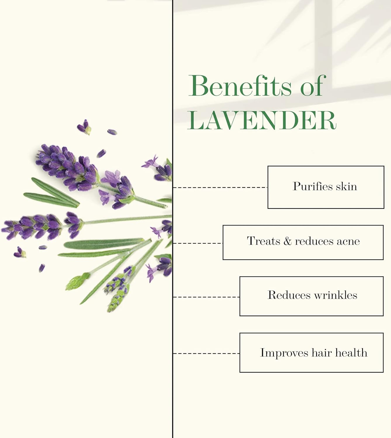 Good Vibes 100% Pure Lavender Essential Oil, 5 Ml Naturally Detoxifies and Rejuvenates Skin, Stimulates Hair Growth, Suitable for All Skin & Hair Types, No Alcohol, Parabens & Sulphates image number 6