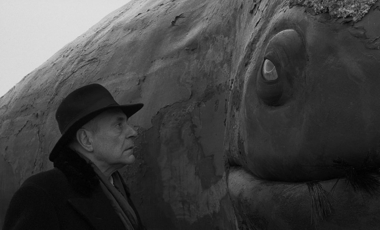 Werckmeister Harmonies (Criterion Collection) image number 1