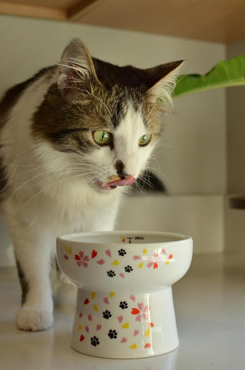 Necoichi Raised Cat Water Bowl, Elevated, with Measurement Lines, Dishwasher and Microwave Safe, No.1 Seller in Japan! image number 6