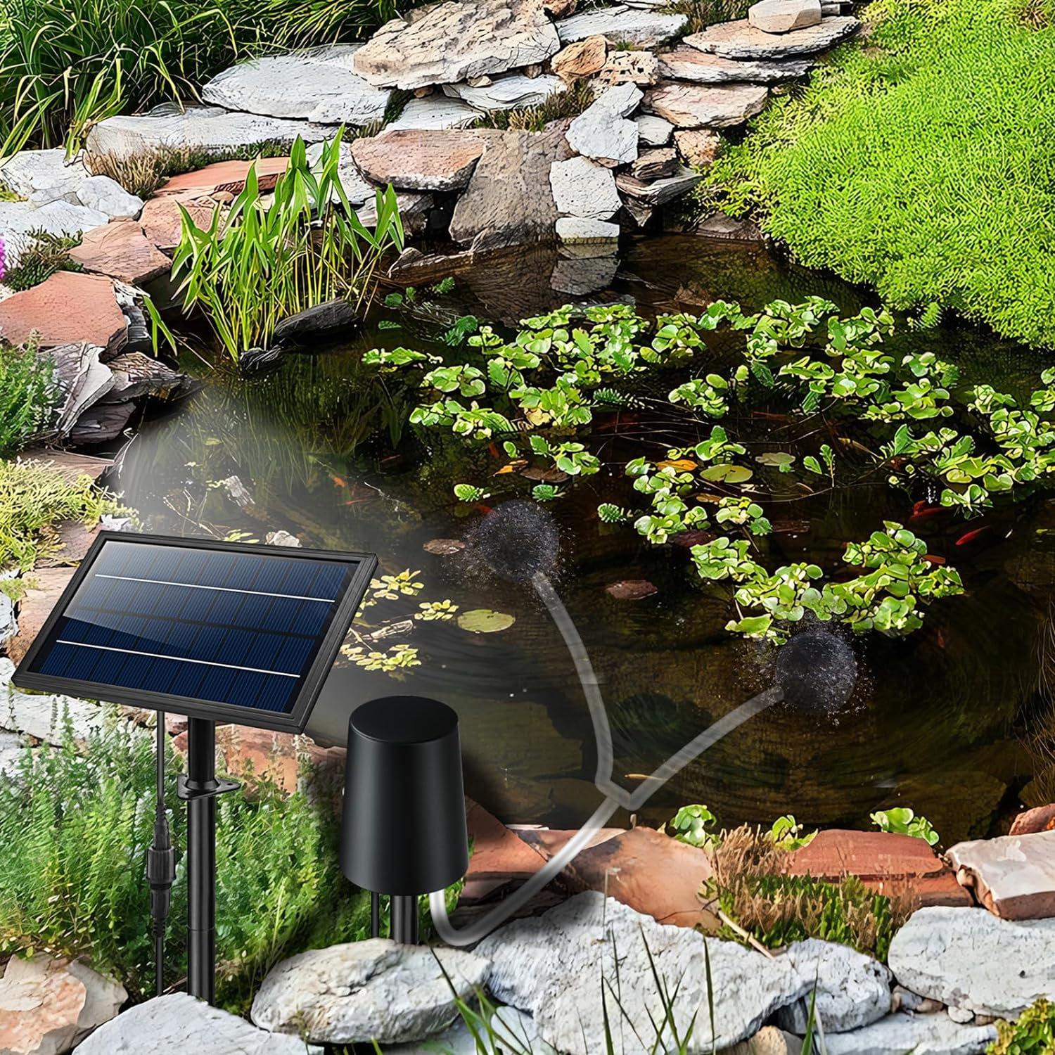 Solar Powered Air Pump Kit 10V 8W Solar Panel Air Pump with Pipe Air Stones 3 Working Modes Waterproof Solar Pond Aerator Oxygenator for Garden Fish Tank Pool Fishing Pond image number 2