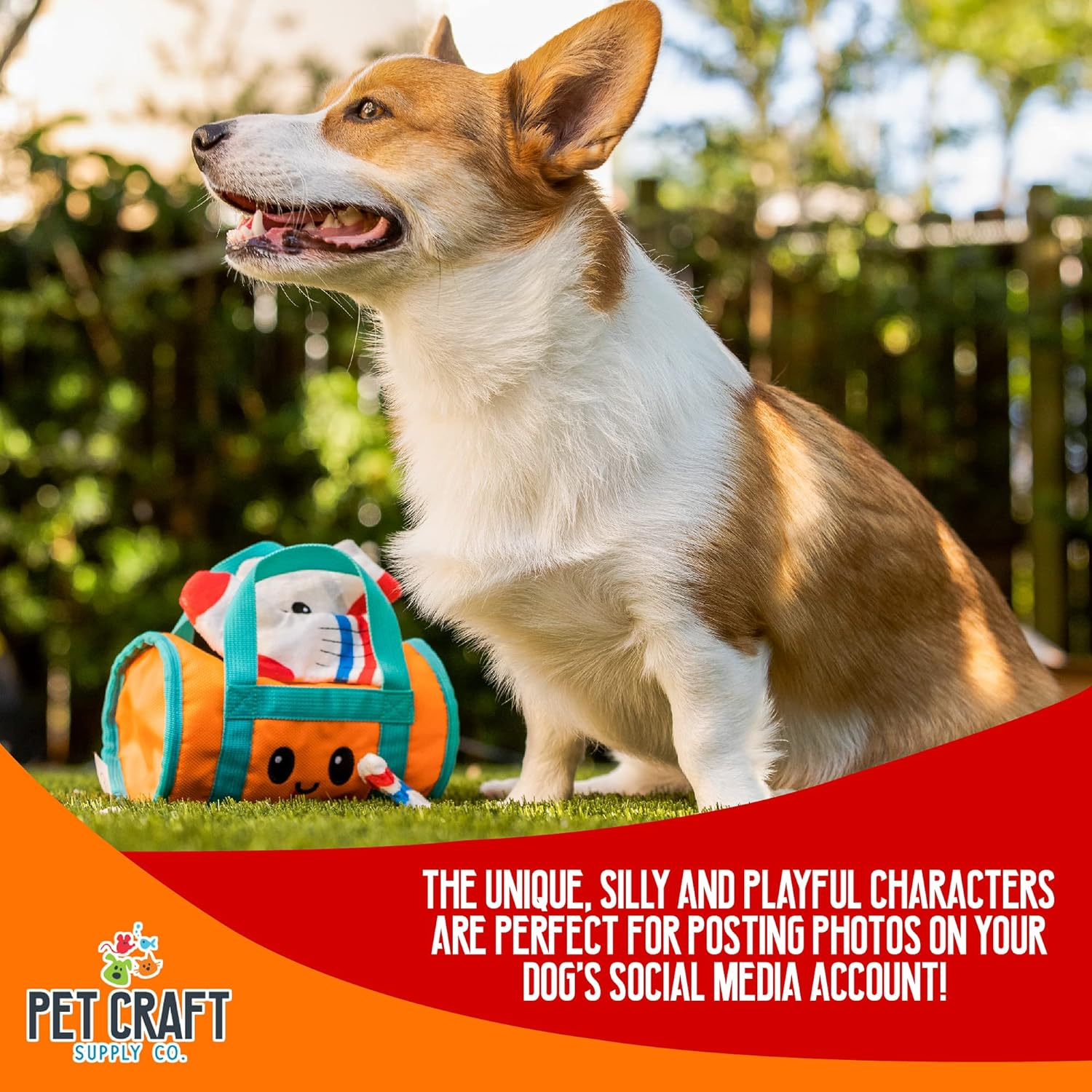 Pet Craft Multipiece Dog Toy- Gym Bag image number 5