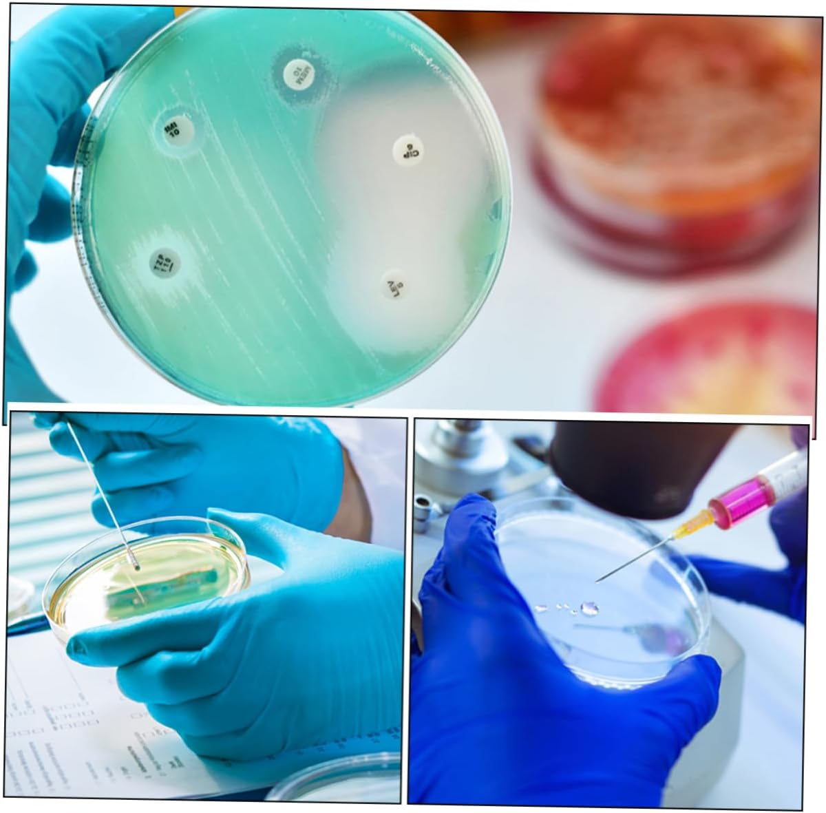 STOBOK 10 Pack Polycarbonate Autoclavable Lab Petri Dishes Culture Plates Agar Tissue Culture Dish for Science Experiments image number 1