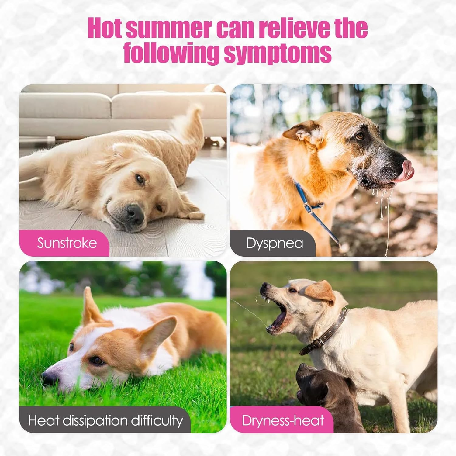 IUOUTG Dog Cooling Shirts Puppy Cooling Vest with Reflective Stripe Lightweight Breathable Mesh Dogs Cooling Jacket Summer Pet Pullover Vest for Hot Weather Outdoor Cooler Dogs Clothing image number 6