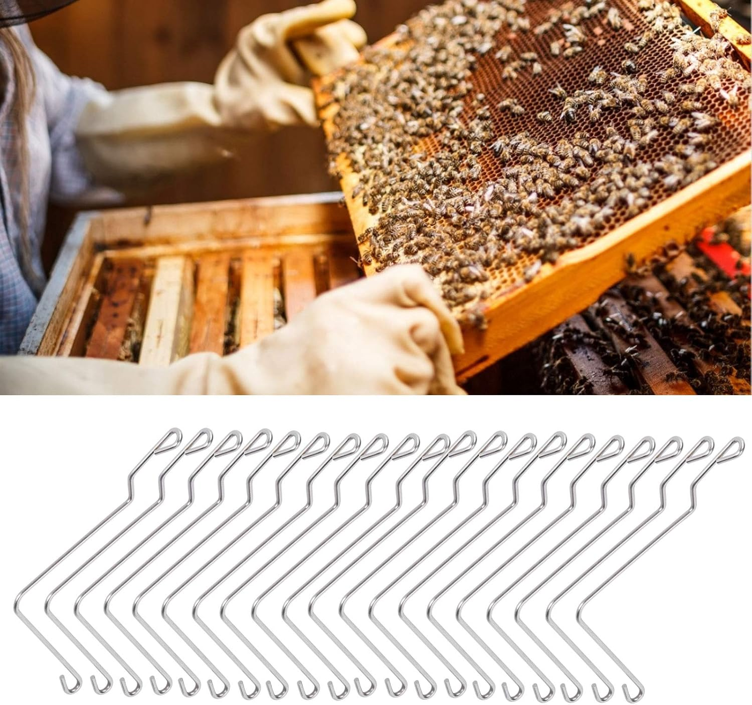 Beehive Spring Clip, Beehive Connectors Easy to Transport with 20 X Beehive Connectors for Beekeeping Farms for Beekeepers image number 1