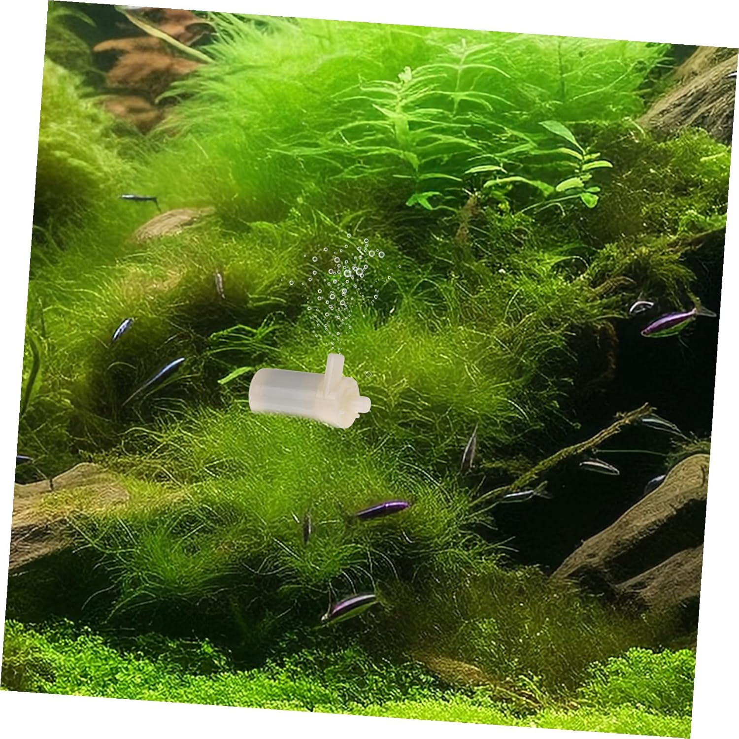 CLISPEED Mini Submersible Water Pump USB Powered Quiet Low Voltage Plastic Fountain Pump for Aquariums Fish Tanks Ponds Hydroponic Systems with Dual-Use Cable image number 5