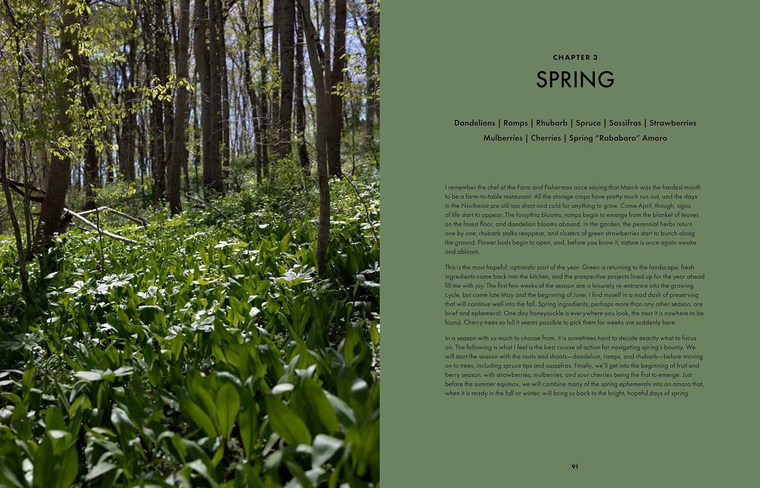 Slow Drinks: a Field Guide to Foraging and Fermenting Seasonal Sodas, Botanical Cocktails, Homemade Wines, and More image number 2