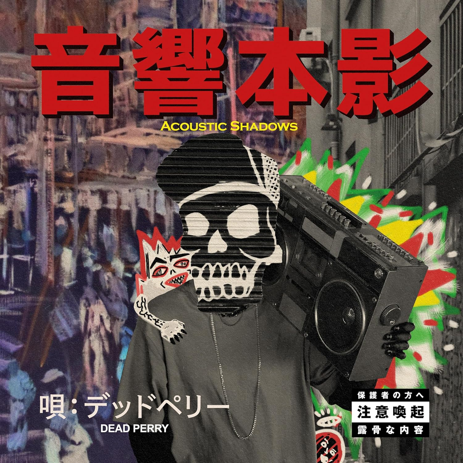 Acoustic Shadows (LP)