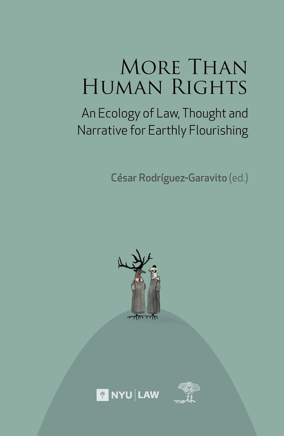 More than Human Rights: Law, Thought and Narrative for Earthly Flourishing image number 1