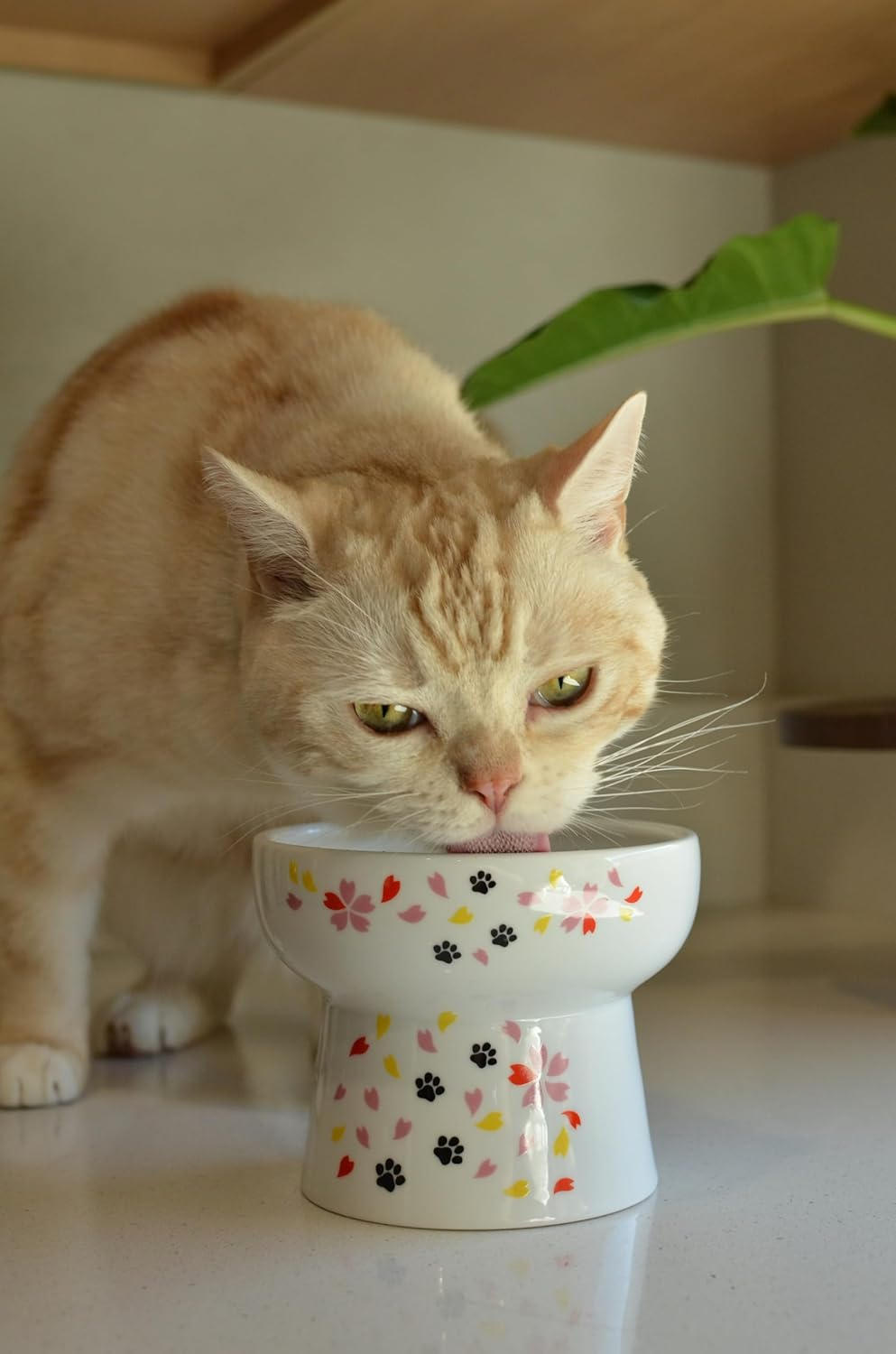 Necoichi Raised Cat Water Bowl, Elevated, with Measurement Lines, Dishwasher and Microwave Safe, No.1 Seller in Japan! image number 1