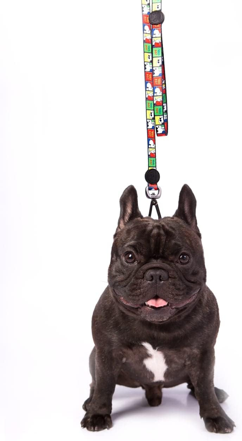 ZOOZ PETS Dog Leash, Officially Licensed Peanuts Product, High Quality and Durable Material, Safe and Comfortable Leash, Unique Style, Various Sizes and Colours (S/M, Joe Cool)