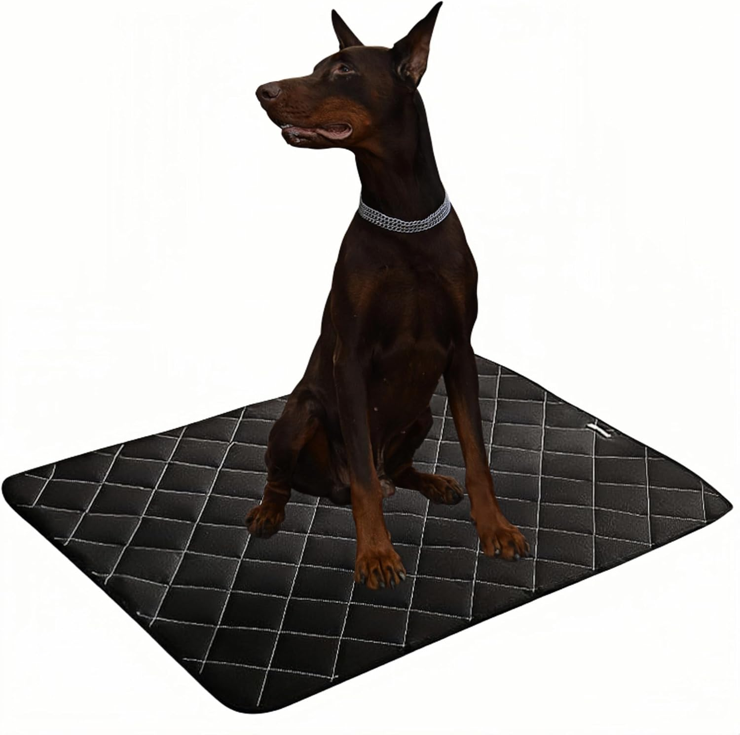 Waterproof Pet Blanket, Dog Blanket for on the Go, Travel Blanket, Restaurant Blanket to Take with You with Bag, Waterproof Outdoor/Indoor Dog Mat, 120 X 90 Cm image number 1