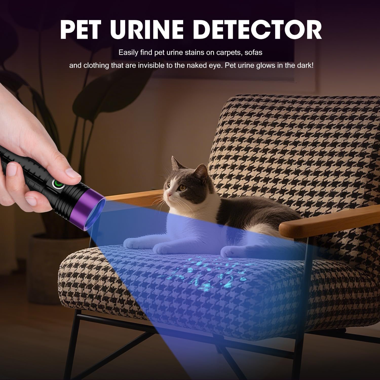 WEKUBA Black Light UV Flashlight, 30W 365 Nm Blacklight Flashlights Rechargeable HIGH Definition Ultraviolet Pet Urine Detector for Cat Urine, Stains, Bed Bug (Black) image number 6