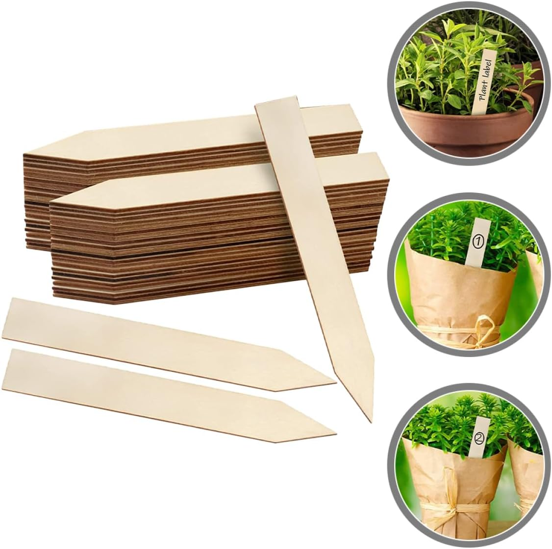 30Pcs Wooden Plant Labels Garden Markers for Vegetable and Flower Beds 2X15Cm Linden Wood Reusable Name Tags for Bonsai and Gardening Supplies image number 6